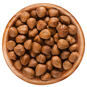 Unshelled raw hazelnuts (Kernels)