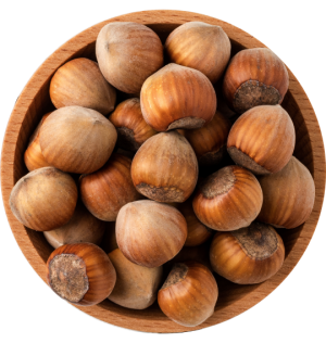 Shelled hazelnuts (in the shell)